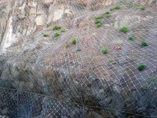 GPS2（常用型主動防護網(wǎng)）