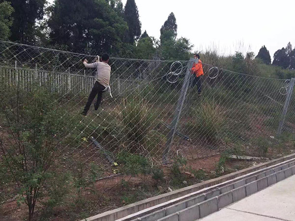 RX-025被動防護網(wǎng)(菱形)